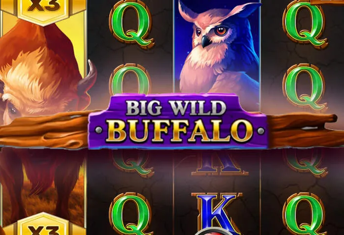 Echtgeld Spiele und hohe Jackpots bei Wild Casino entdecken