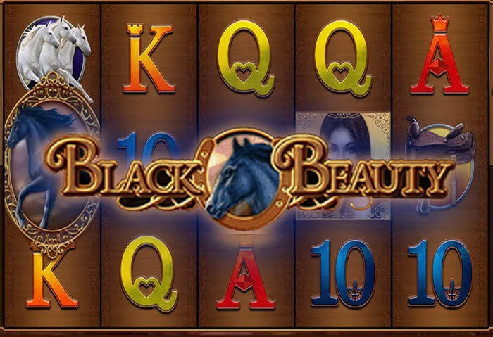 Experiencia de casino en vivo con Wild Casino.