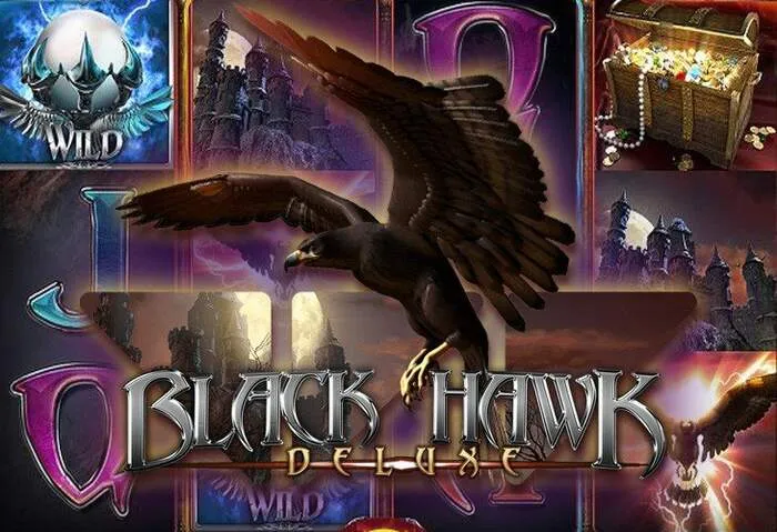 Wild Casino Logo und attraktive Bonusangebote