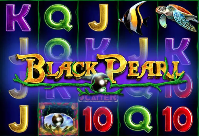 Wild Casino no telemóvel: jogue slots e jogos de mesa em qualquer lugar.