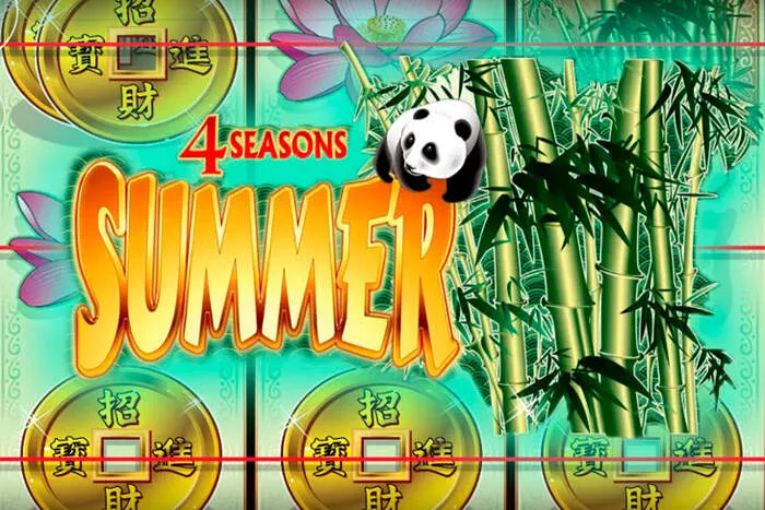 Canlı krupiyelerle Wild Casino masa oyunları ve casino deneyimi